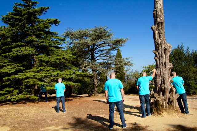 Parsifal d’identité