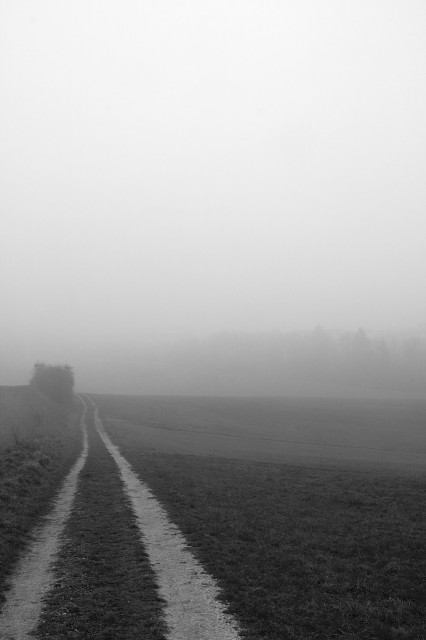 Wo gehen wir hin? II