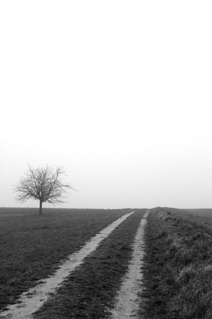 Wo gehen wir hin? III